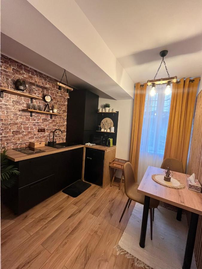 Wood Studio Sinaia Kültér fotó