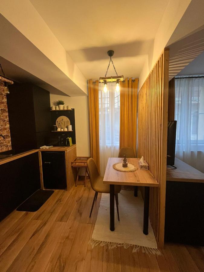 Wood Studio Sinaia Kültér fotó