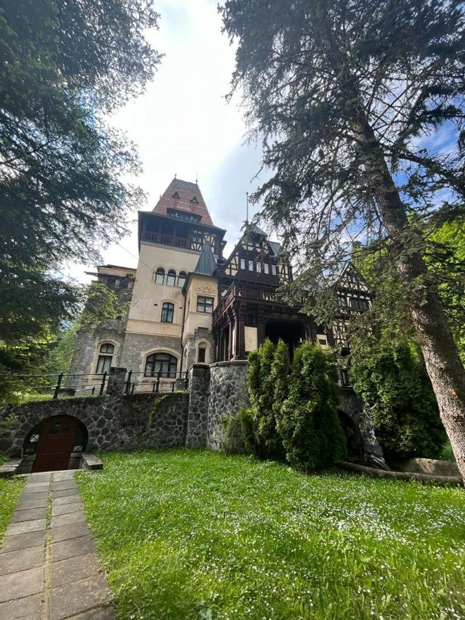 Wood Studio Sinaia Kültér fotó